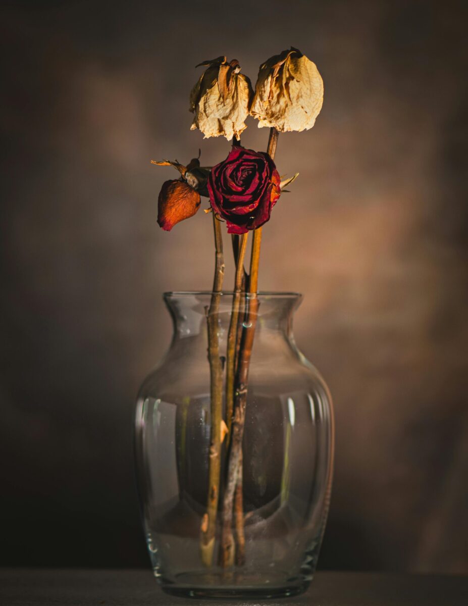 Foto bonita de rosas secas num vaso transparente mostrando um estética vintage.