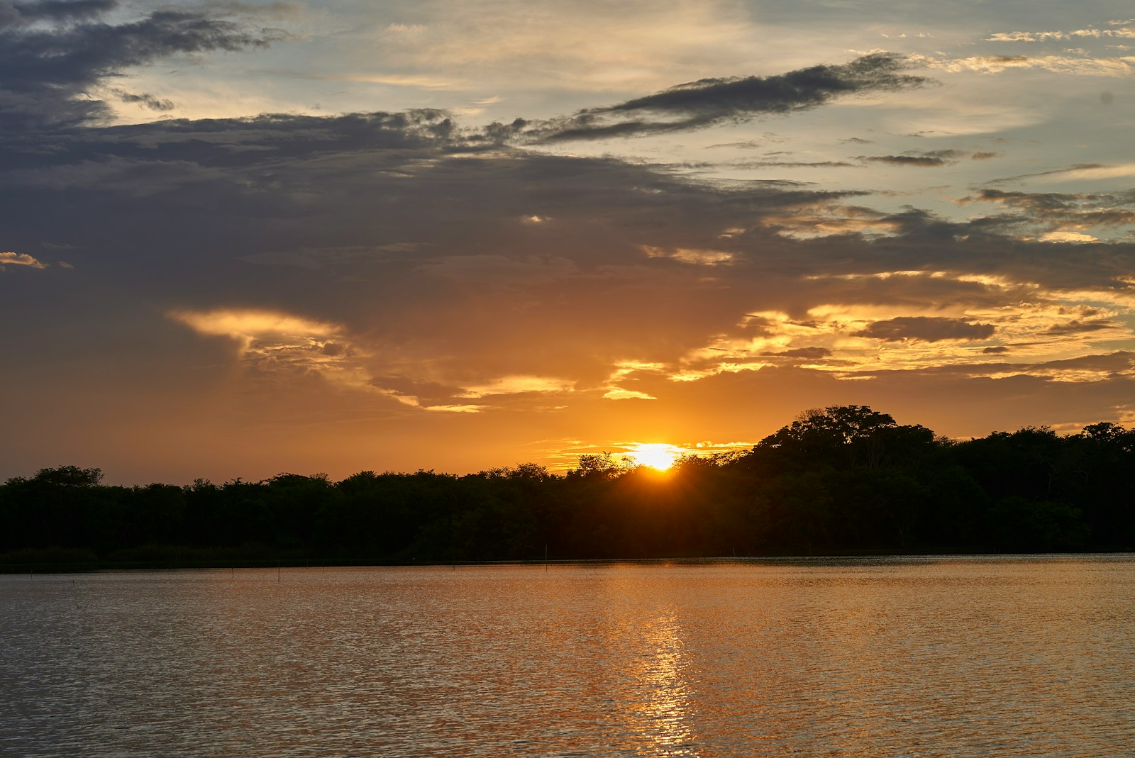 the sun is setting over a lake with trees in the background